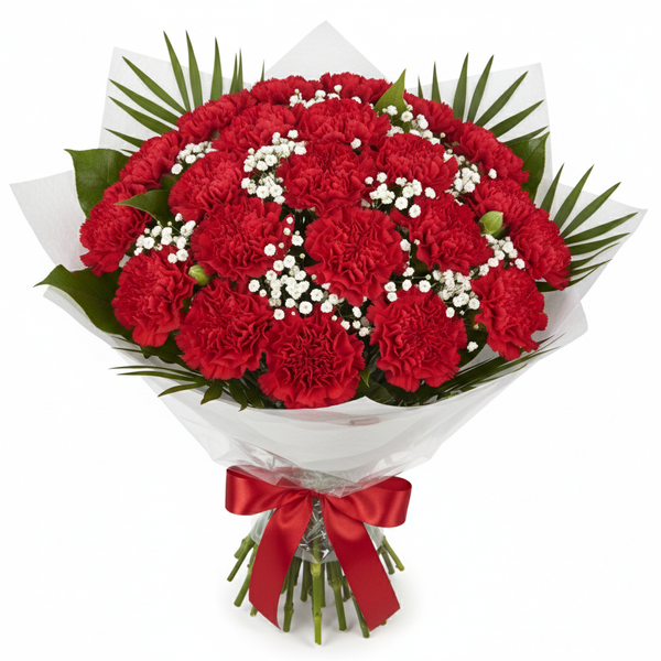 Christmas Red Carnations With Gypsophila