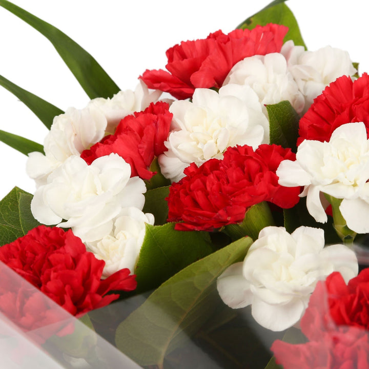 A Red Blooming BouquetA Red Blooming Bouquet flowers Beautifully wrapped and tied with ribbon before being delivered. A Beautiful Bouquet Hand Tied Flowers. Delivering Great Value Fresh Cut Flowers. Add Personalised Message At Checkout. Free Message Gift