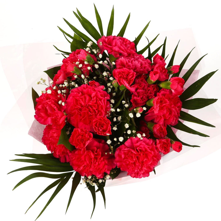 A Beautiful Red Carnations MelodyBeautiful Red Carnations Melody and foliage to create this beautifully scented bouquet. Beautifully wrapped and tied with ribbon before being delivered. A Beautiful Bouquet Hand Tied Flowers. Delivering Great Value Fresh C
