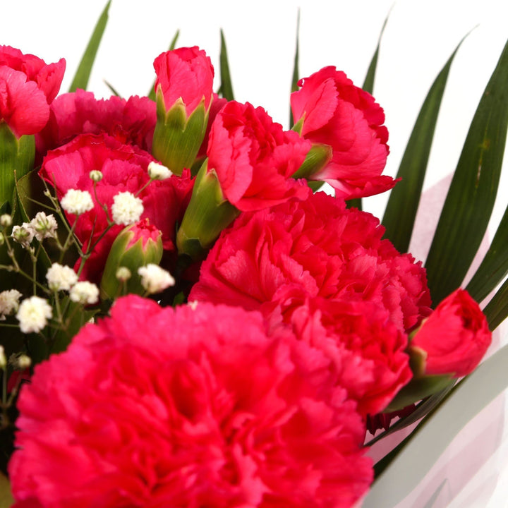 A Beautiful Red Carnations MelodyBeautiful Red Carnations Melody and foliage to create this beautifully scented bouquet. Beautifully wrapped and tied with ribbon before being delivered. A Beautiful Bouquet Hand Tied Flowers. Delivering Great Value Fresh C