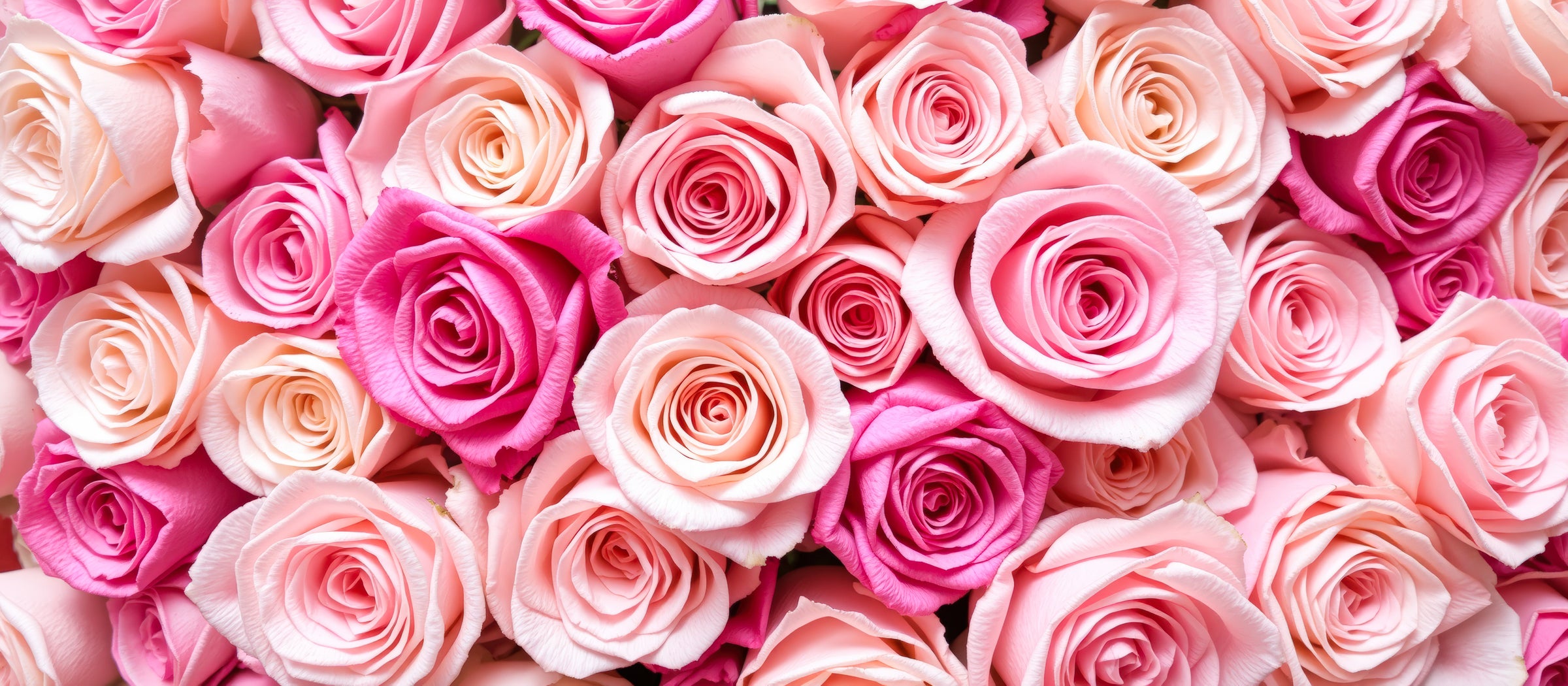 Happy Days Factory - Flowers - Florist
