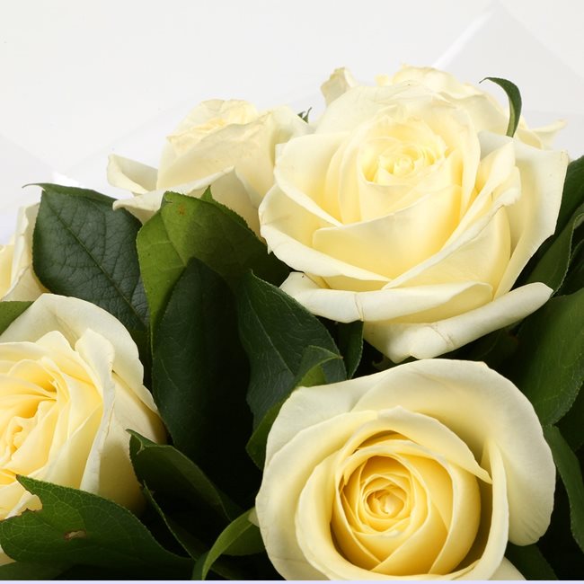 12 White Roses Bouquet – Happy Days Factory