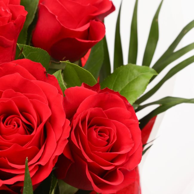 Red Roses Factory 12 Red Roses – Happy Days Factory